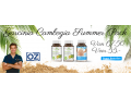 Garcinia Cambogia Summer Pack